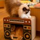 RETRO RADIO ΣΠΙΤΑΚΙ ΓΑΤΑΣ RETRO RADIO ΣΠΙΤΑΚΙ ΓΑΤΑΣ