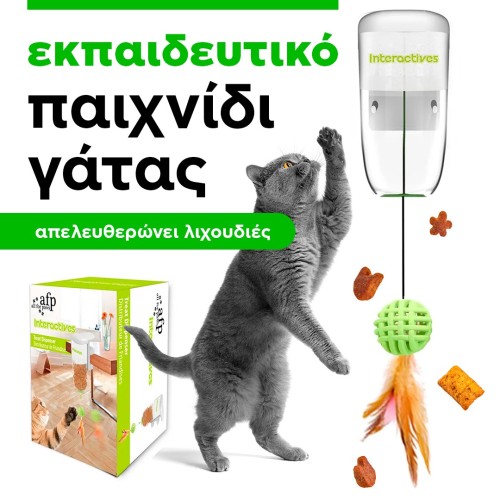 εκπαιδευτικό παιχνίδι γάτας, Zentrada εκπαιδευτικό παιχνίδι γάτας