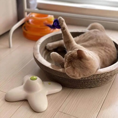 παιχνίδι γάτας πεταλούδα, ALL FOR PAWS παιχνίδι γάτας πεταλούδα