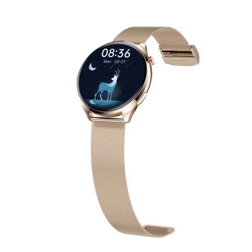 smartwatch GK16, Aoke smartwatch GK16