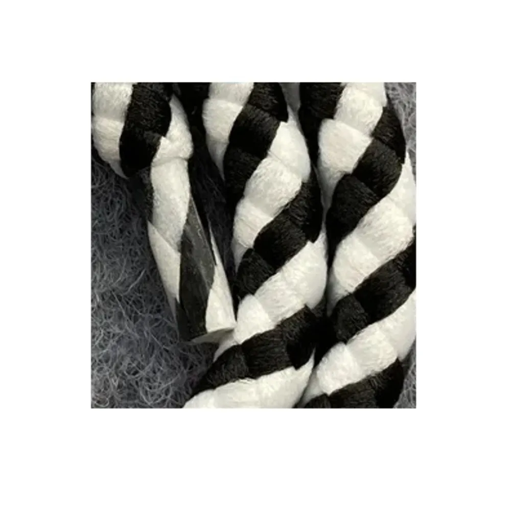 lanyard for the neck