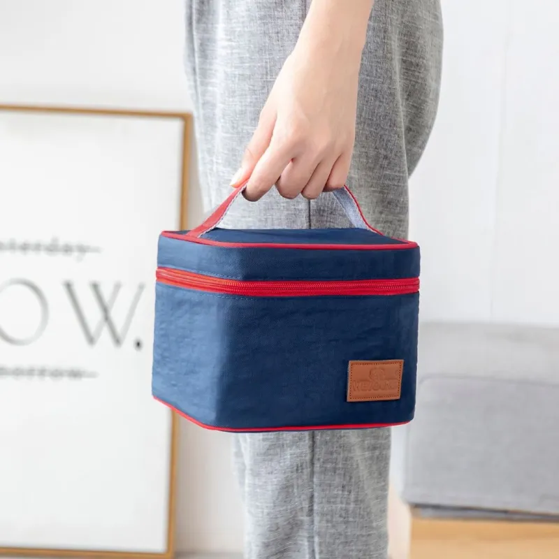 mini lunch bag