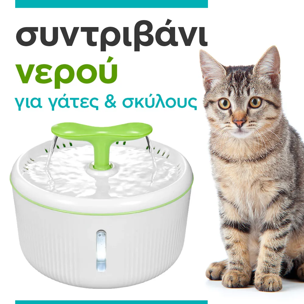 water fountain for cats