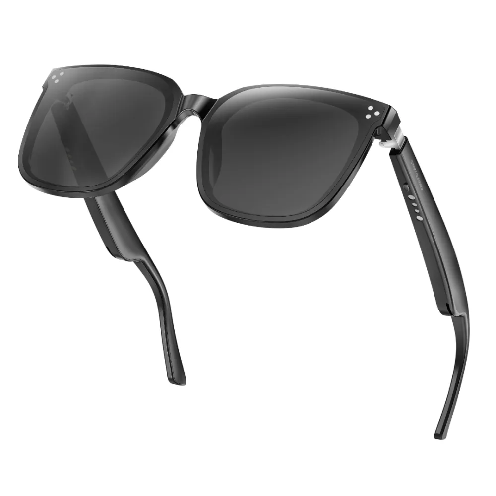 GS260 sunglasses