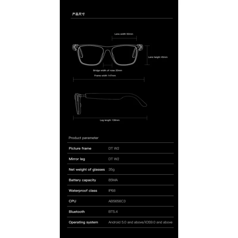 SmartGlasses DT W2