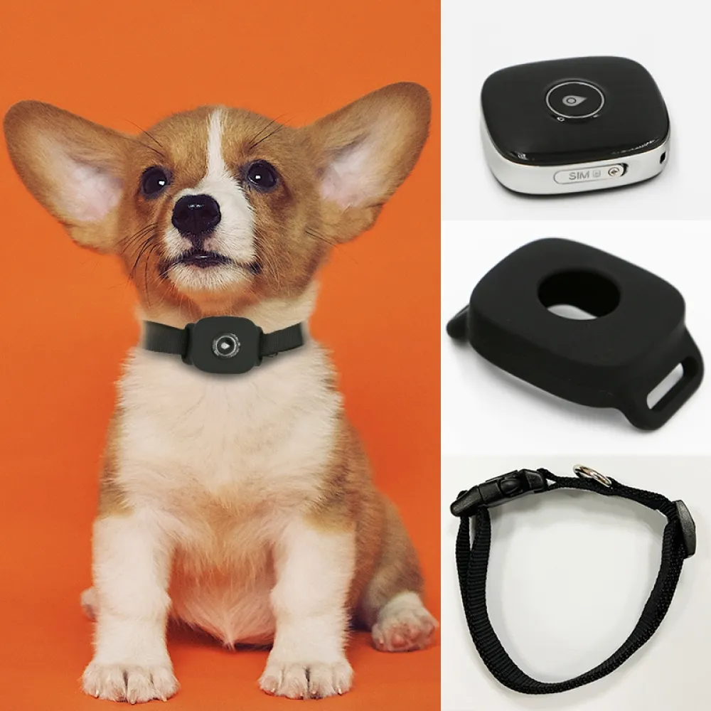 Q68 4G GPS for pets