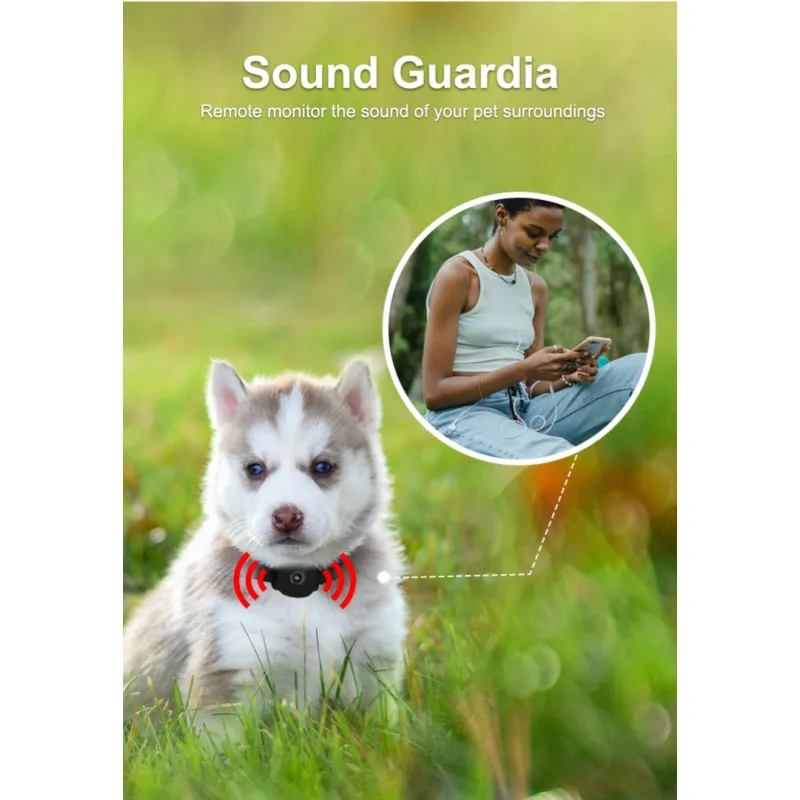Q68 4G GPS for pets