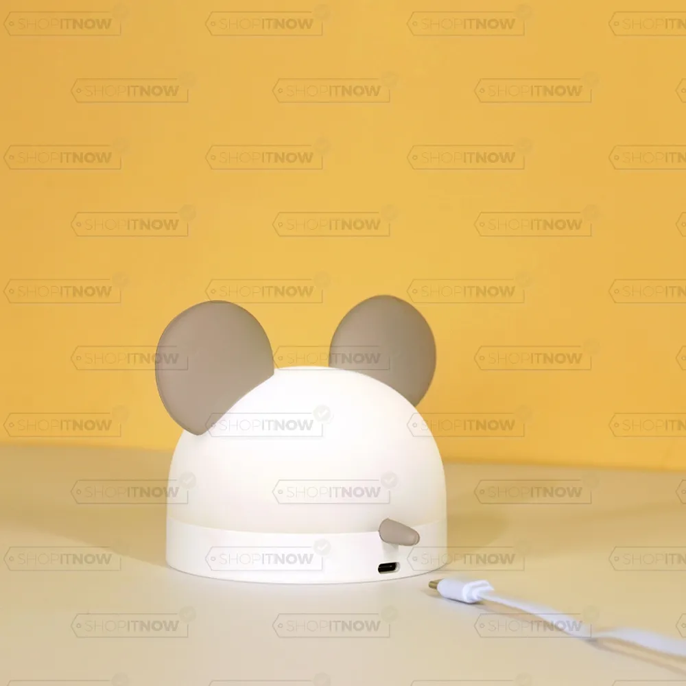 bright companion for the night