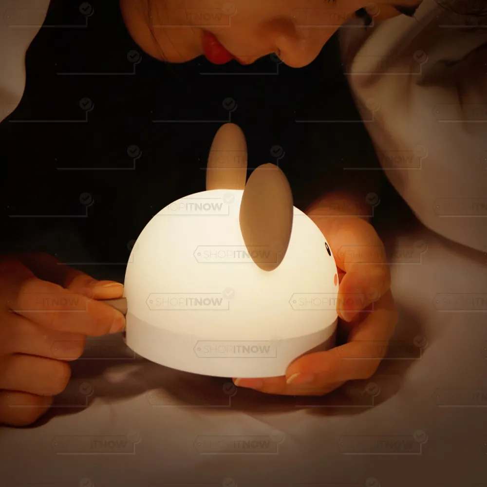 bright companion for the night