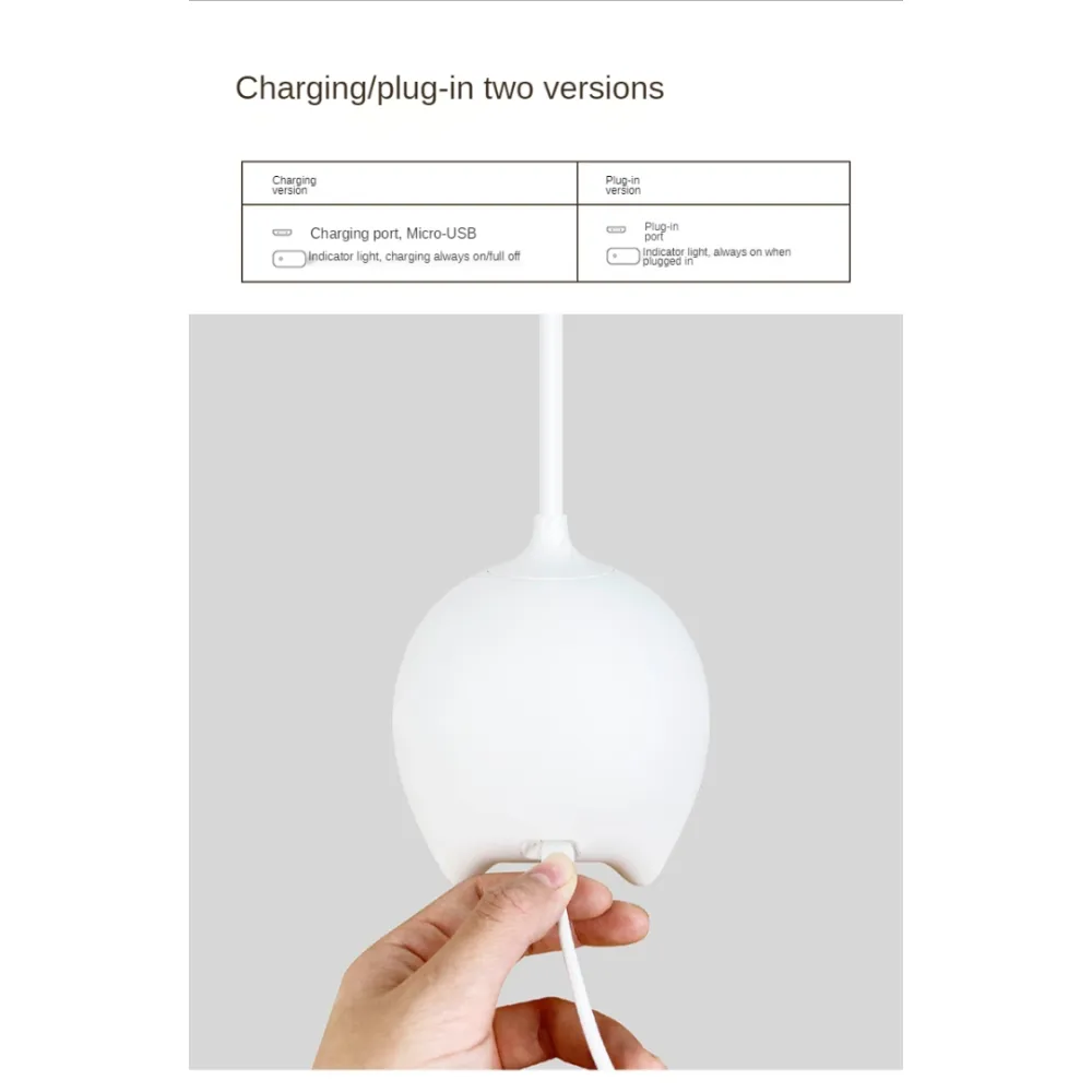 Office Lamp with Storage Space