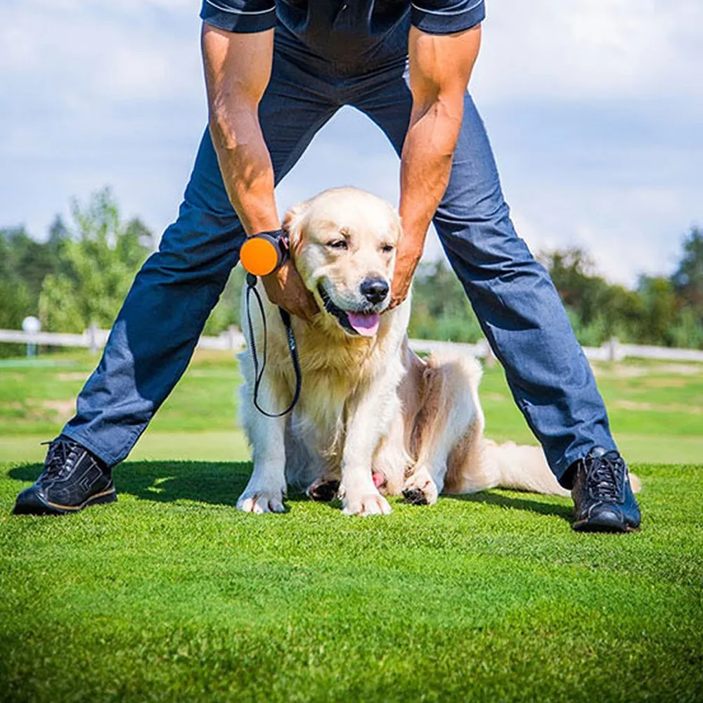 Bounty guide - dog leash