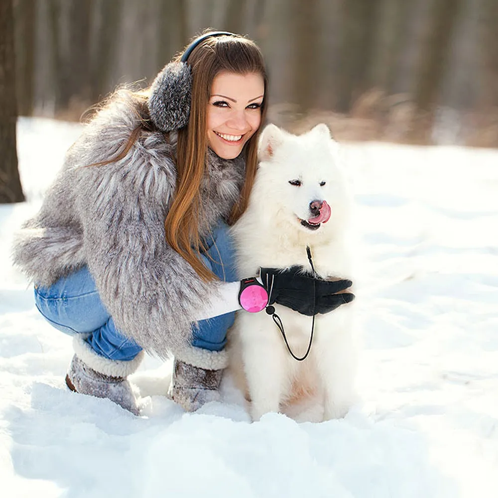 Bounty guide - dog leash