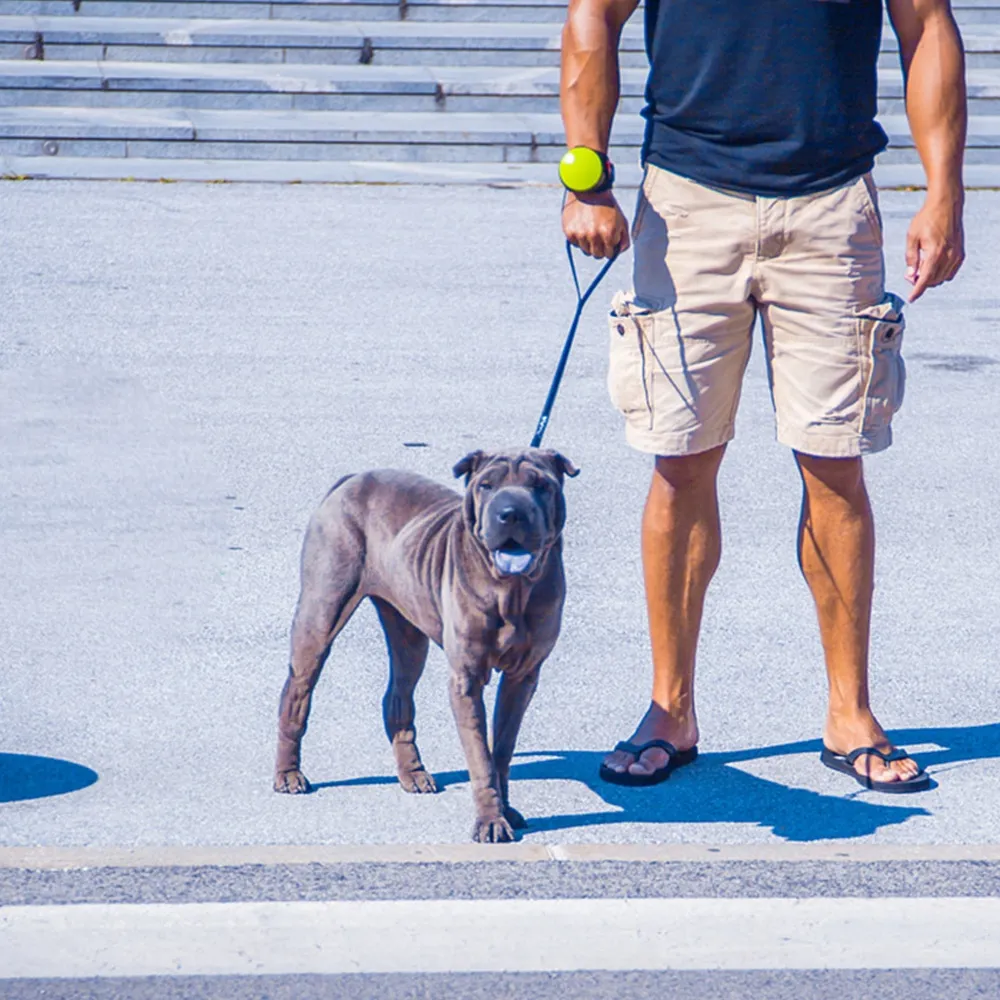 Bounty guide - dog leash