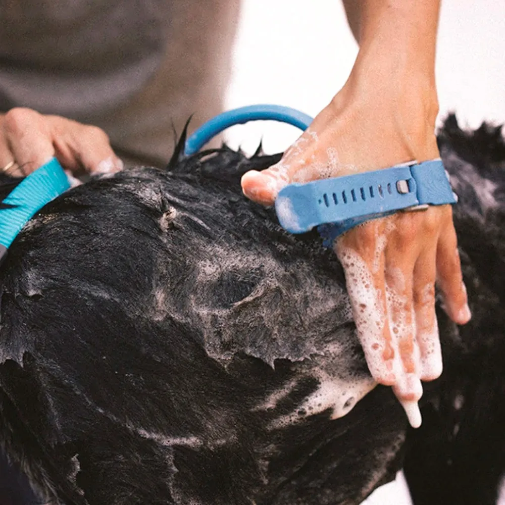 hose with washing brush for dogs
