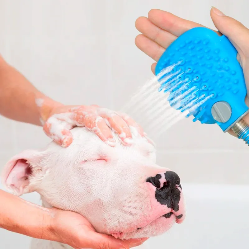 Hose with washing brush for dogs