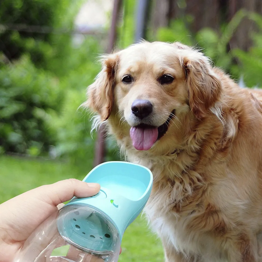 water container for dogs
