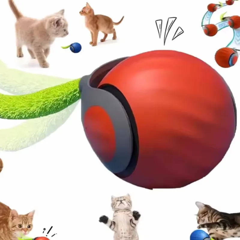 Cat Automatic Rolling Ball