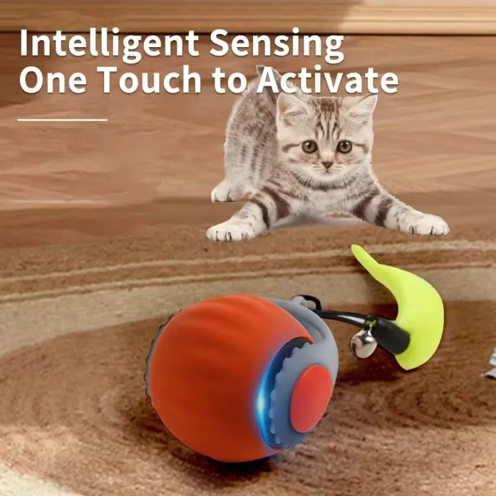 Cat Automatic Rolling Ball