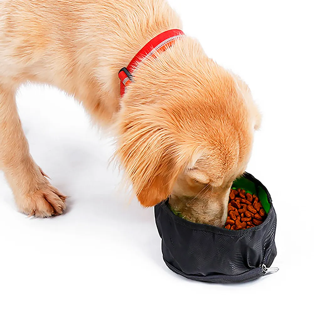 portable water/food container