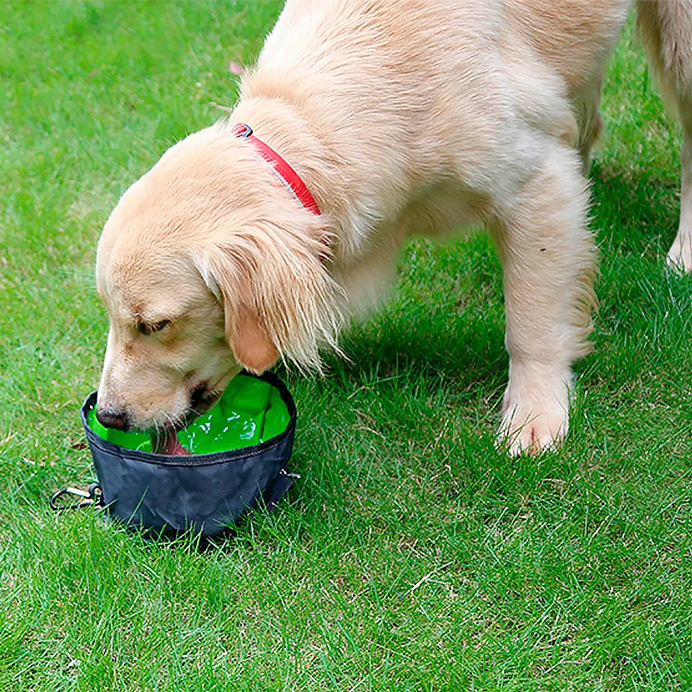 portable water/food container