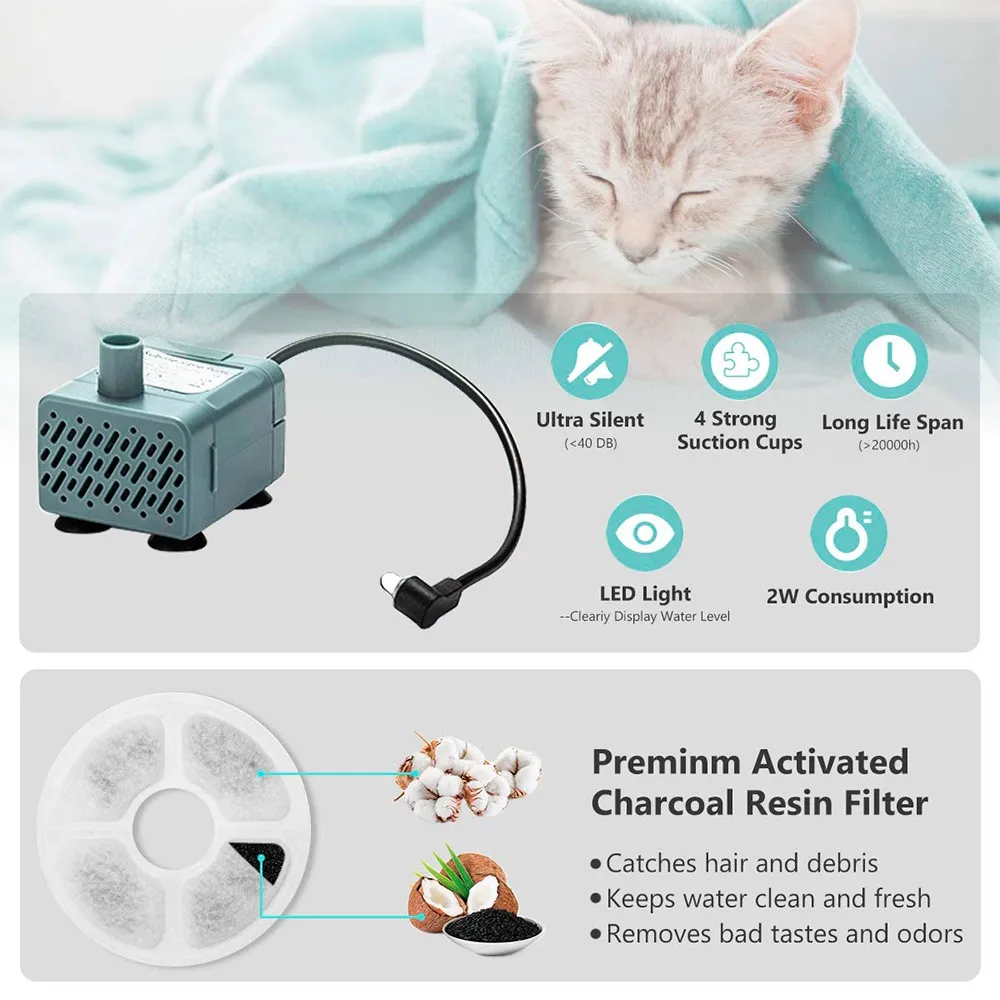 water fountain for cats