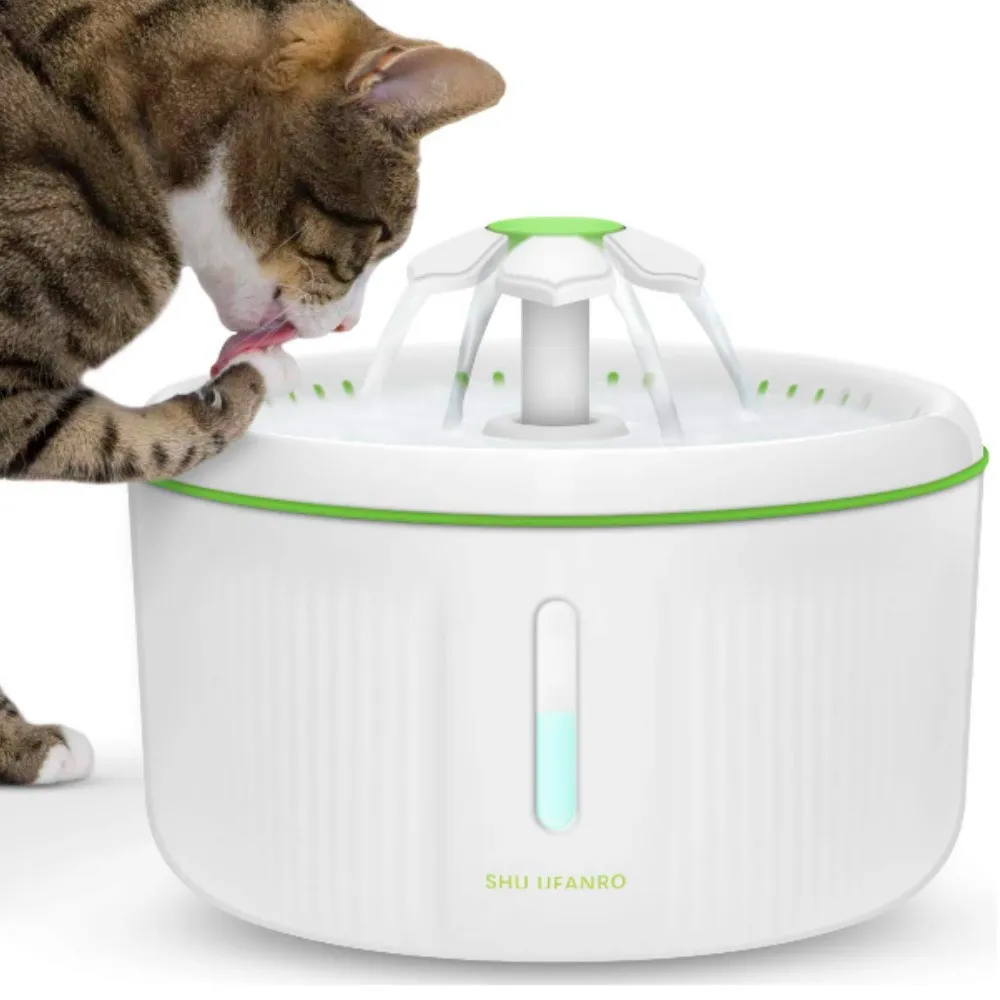 water fountain for cats