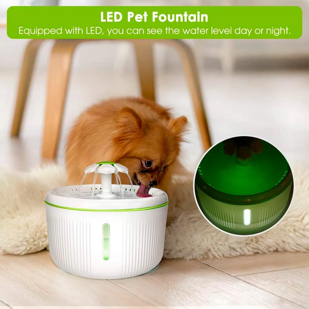 water fountain for cats