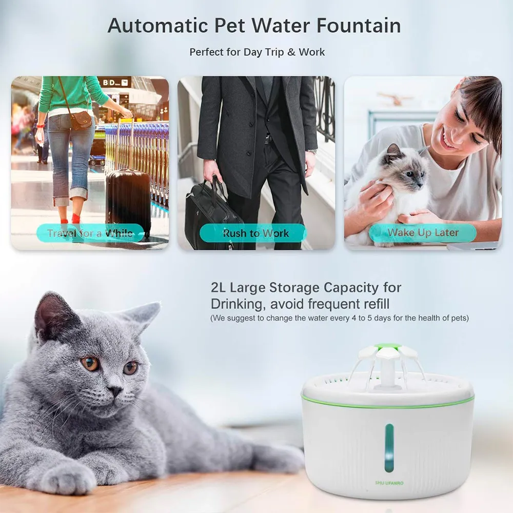 water fountain for cats