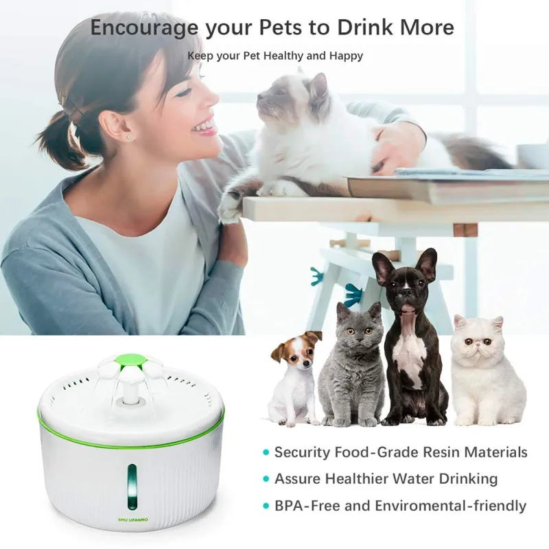 water fountain for cats