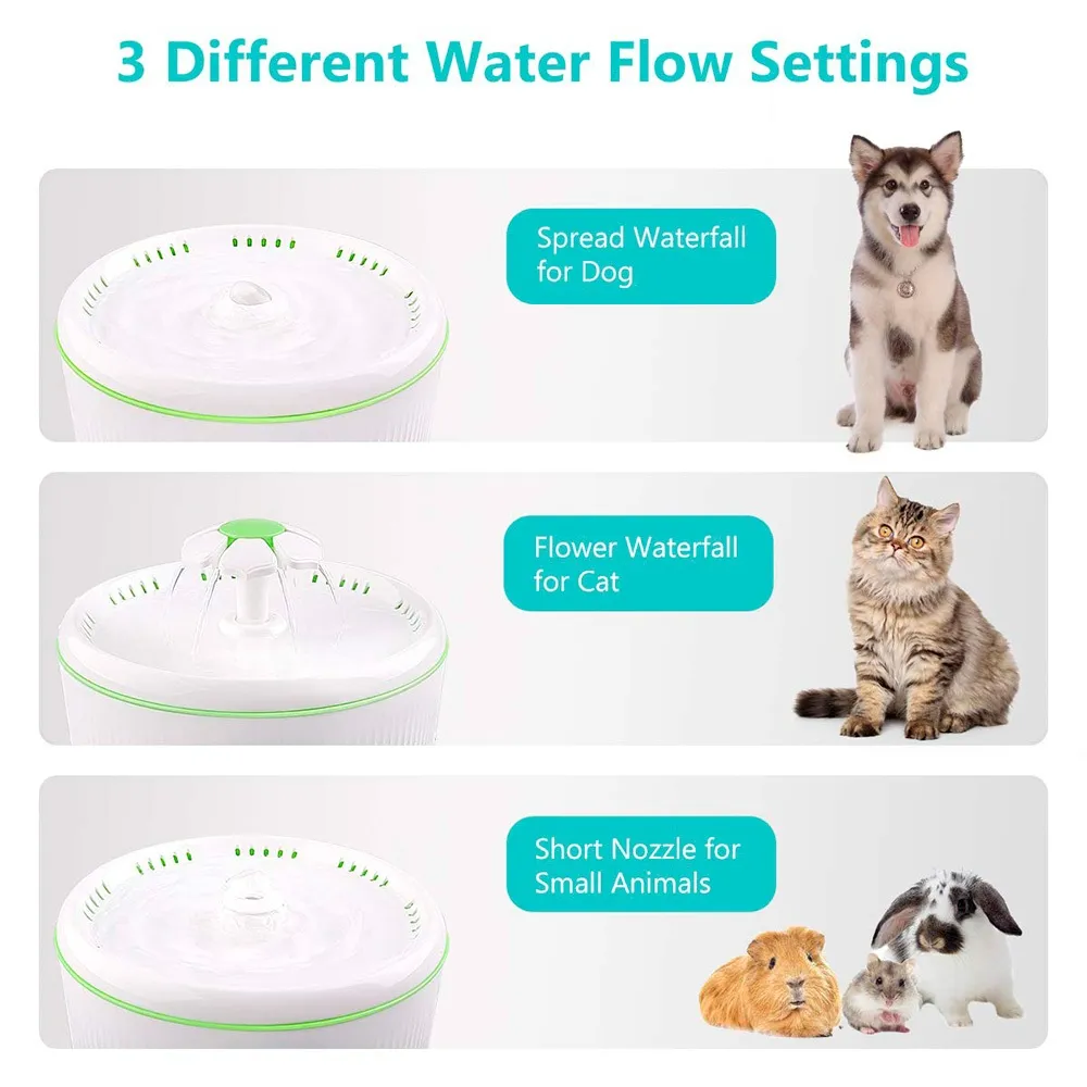 water fountain for cats