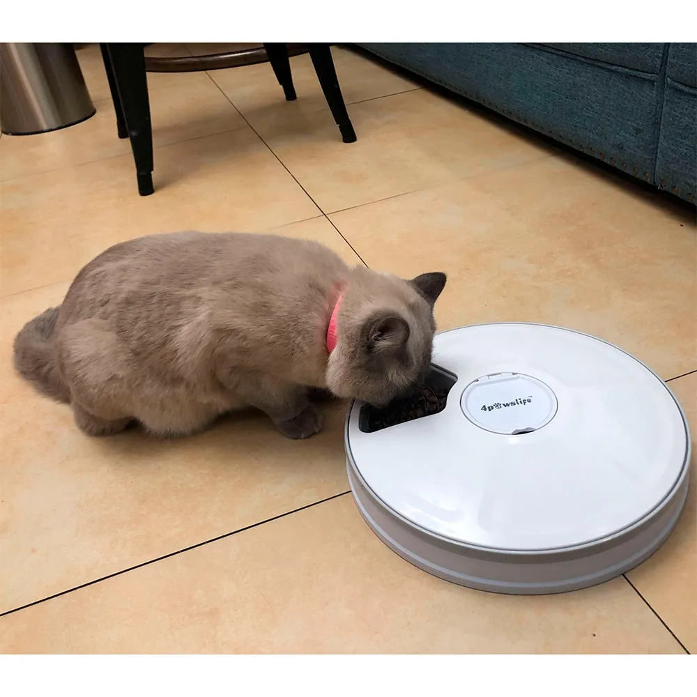 automatic dry food feeder for cats & dogs