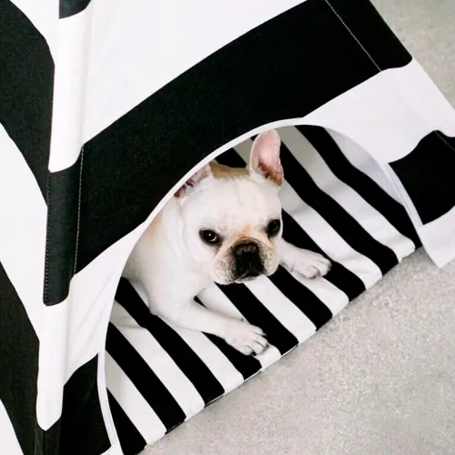 σπιτάκι  σκηνή  σκύλου