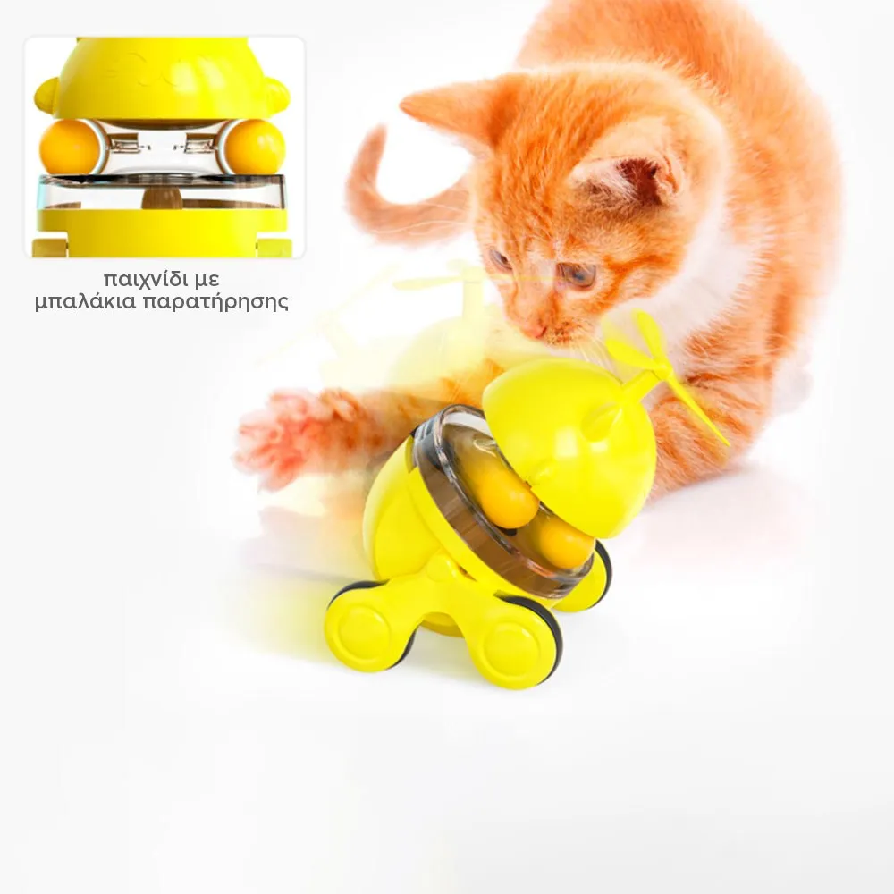 interactive cat-food game