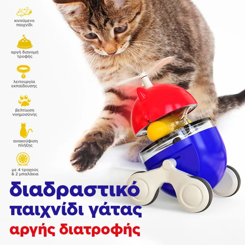 interactive cat-food game