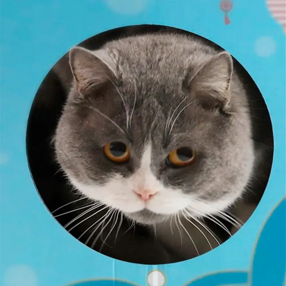 cat house with scratcher