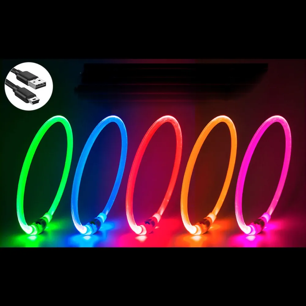 pet collar with LED light