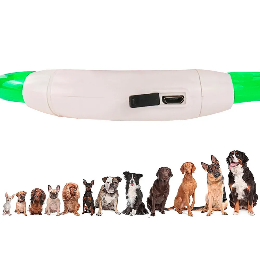 pet collar with LED light