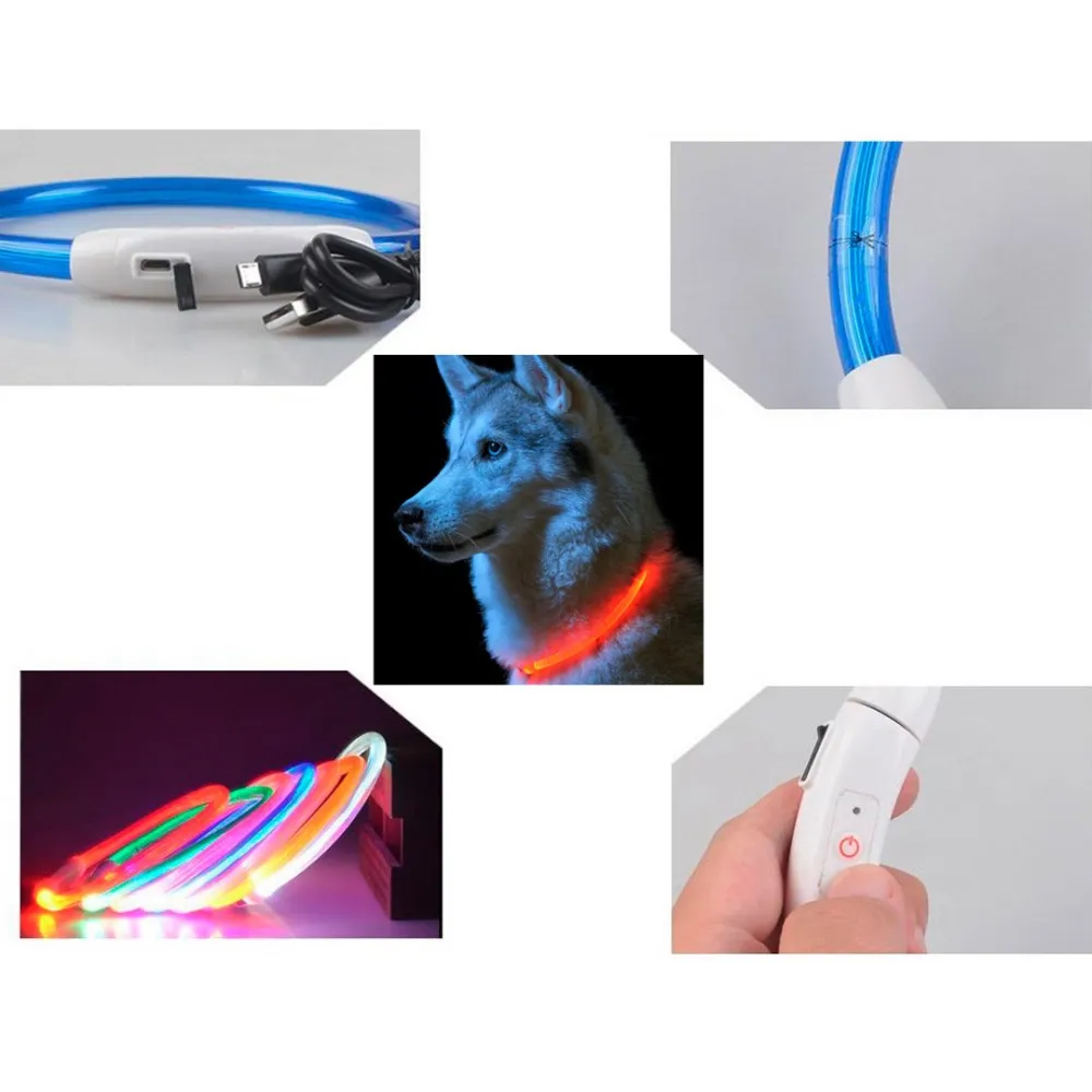 pet collar with LED light