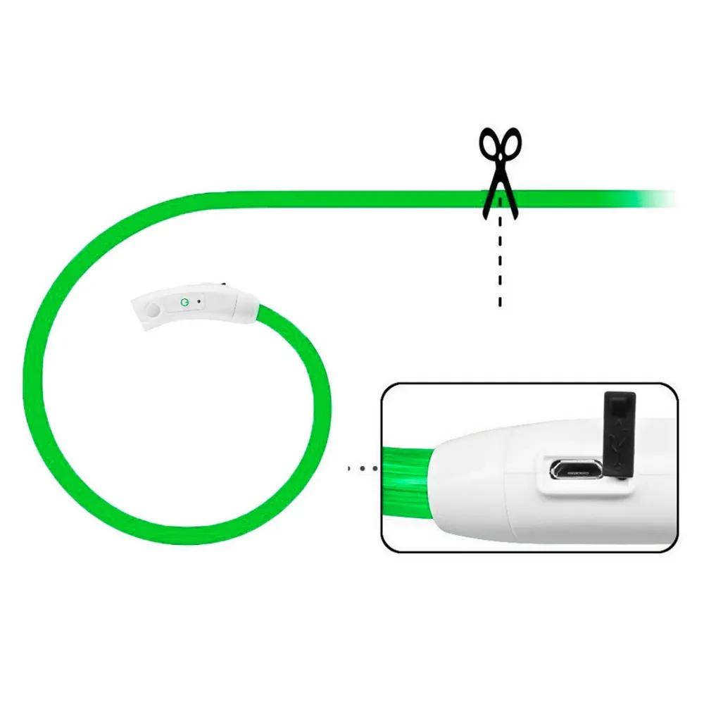 pet collar with LED light