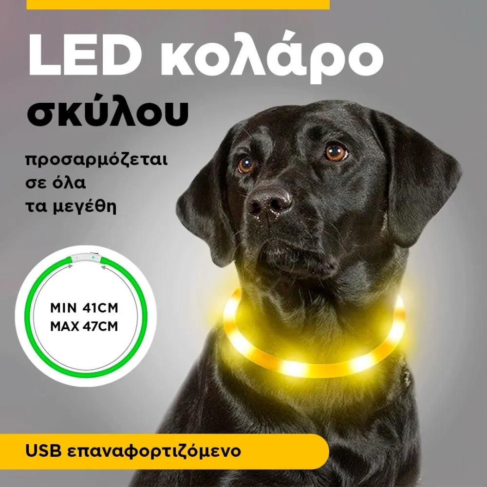 pet collar with LED light