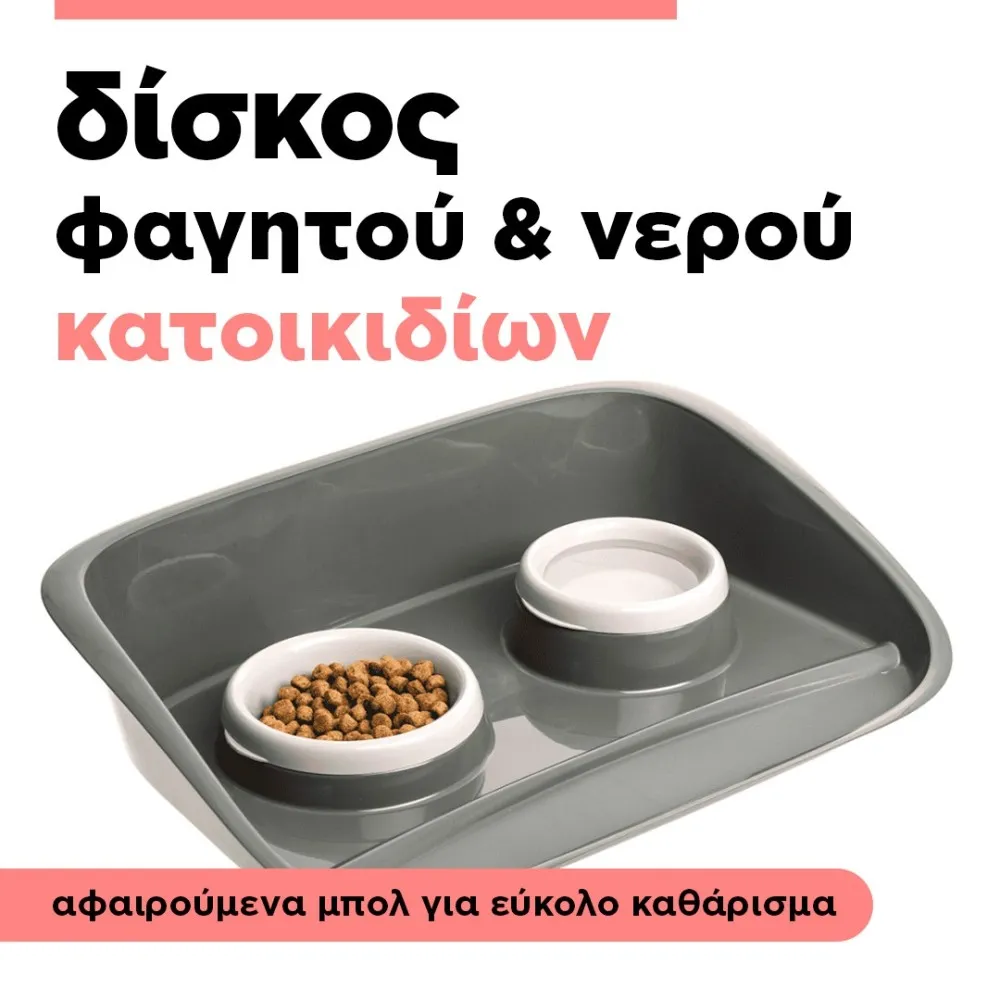 water & food container for pets