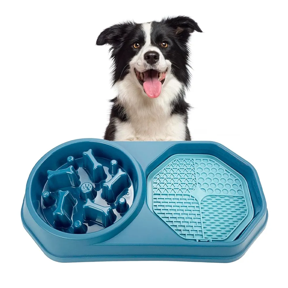 slow-swallow pet food bowl