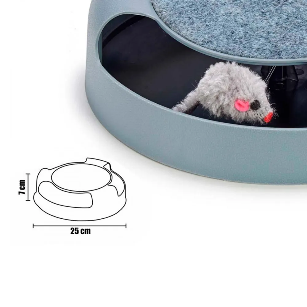 toy and cat scratcher