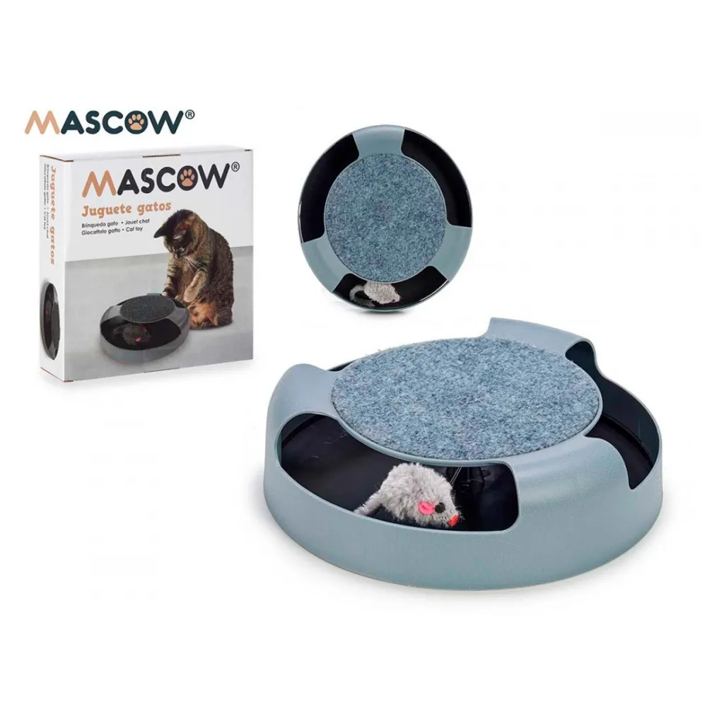 toy and cat scratcher