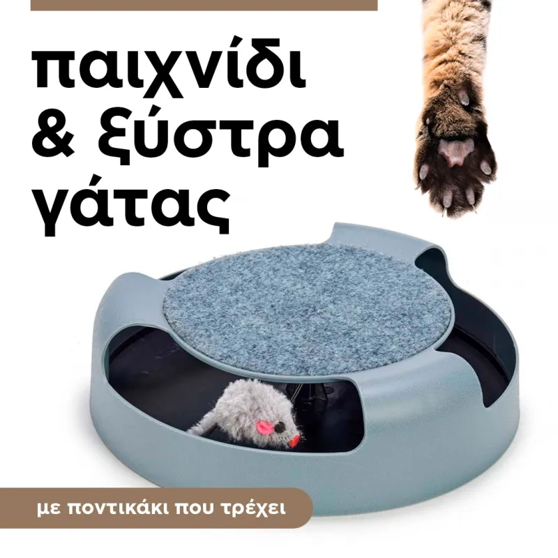 toy and cat scratcher 