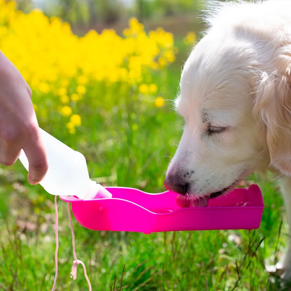 portable dog waterer