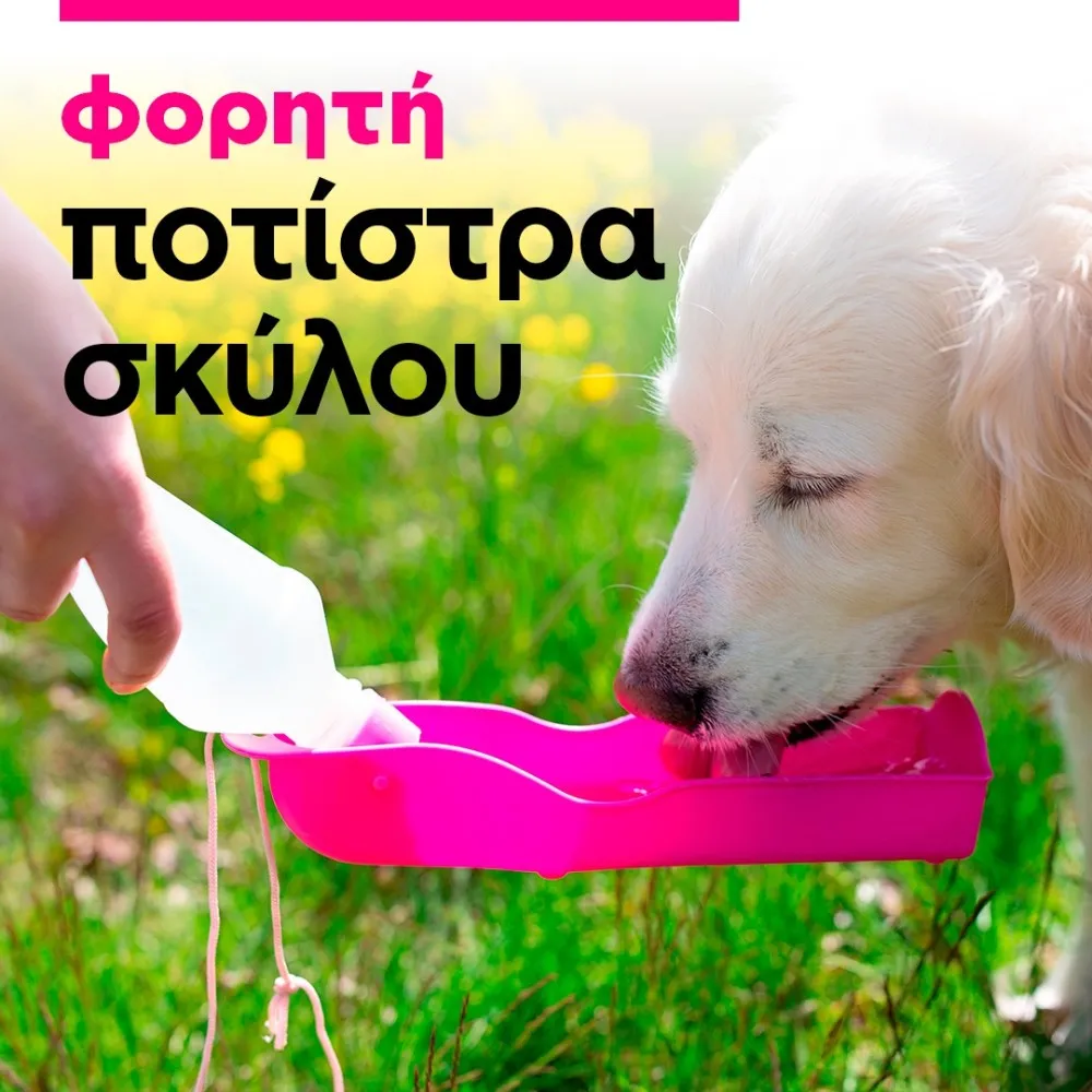 portable dog waterer