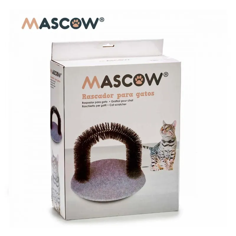 cat brush & scratchers