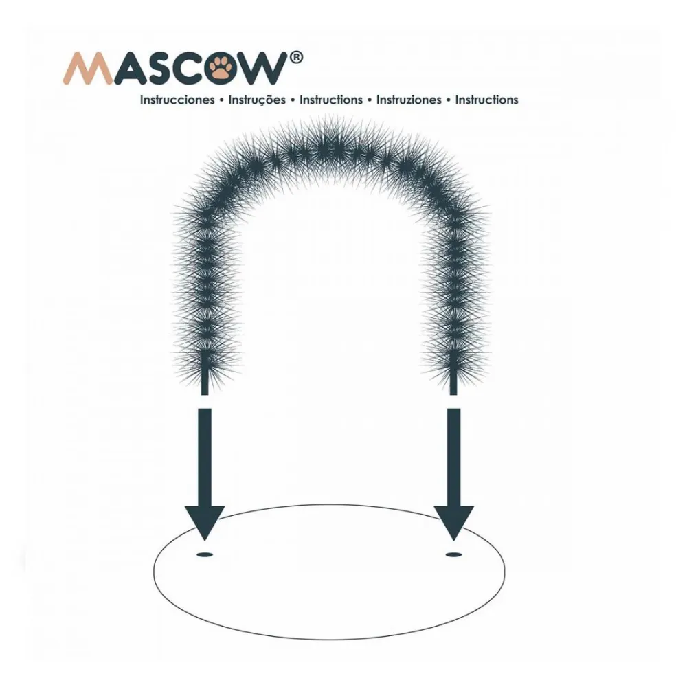 cat brush & scratchers