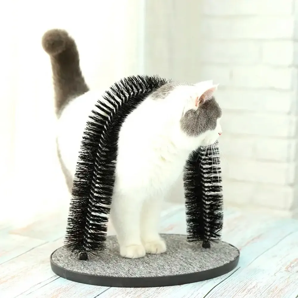 cat brush & scratchers